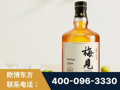荥阳-梅见青梅酒